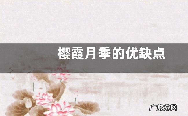 樱霞月季的优缺点