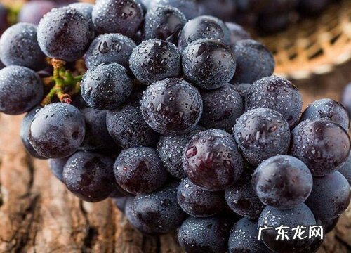 蓝莓葡萄和夏黑葡萄的区别
