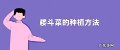 耧斗菜的种植方法