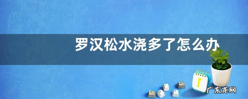 罗汉松水浇多了怎么办