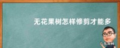 无花果树怎样修剪才能多结果