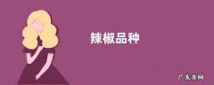 辣椒品种