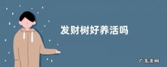 发财树好养活吗
