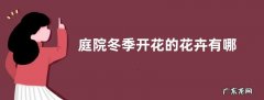 庭院冬季开花的花卉有哪些