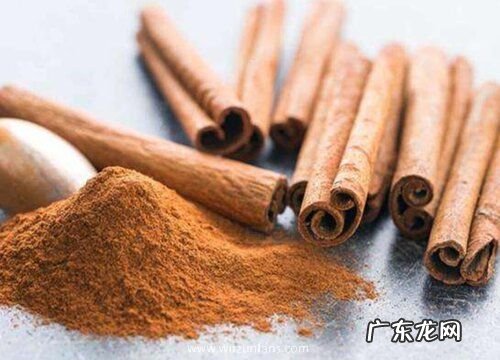 桂皮和桂叶是一种树吗