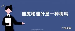 桂皮和桂叶是一种树吗