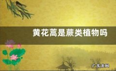 黄花蒿是蕨类植物吗