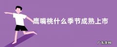 鹰嘴桃什么季节成熟上市