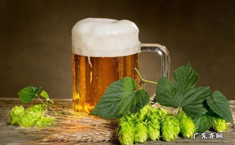 用啤酒 怎样延长鲜花的保鲜期