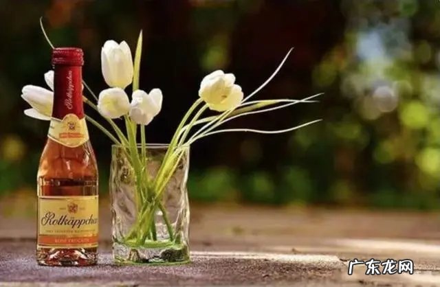 用啤酒 怎样延长鲜花的保鲜期