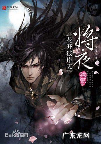 盘龙和神墓哪个好看 盘龙神墓记小说