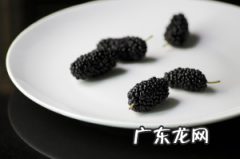 将桑葚的表面污垢彻底清除