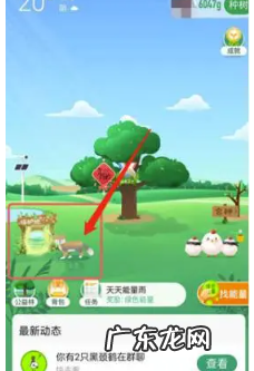 蚂蚁森林保护地巡护动物怎么更换?需要注意什么?