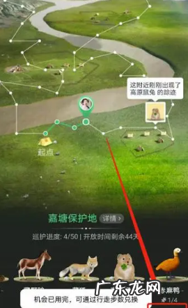 蚂蚁森林保护地巡护动物怎么更换?需要注意什么?