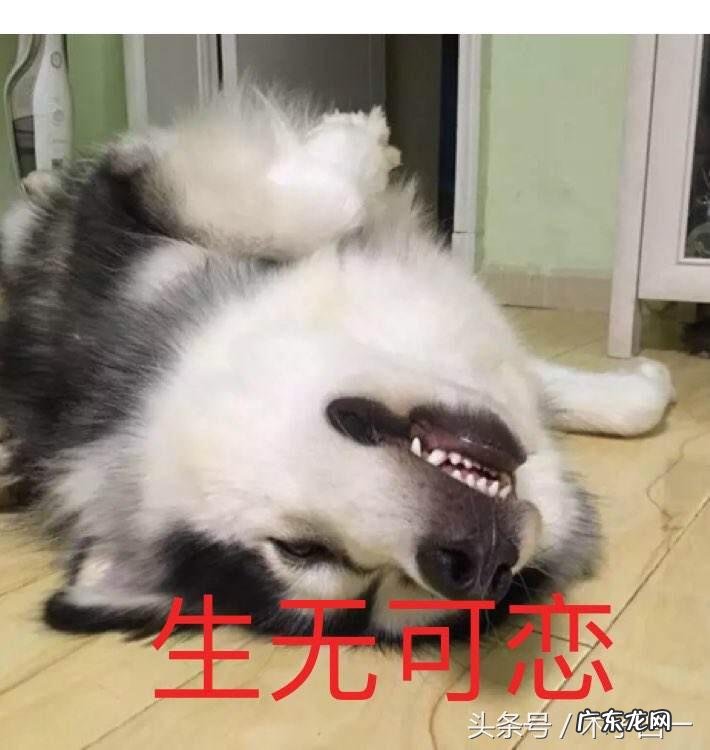 小姑娘打一字谜底是什么 小姑娘打一个字是什么