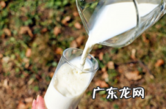 喝一个月的豆乳可以丰胸吗？