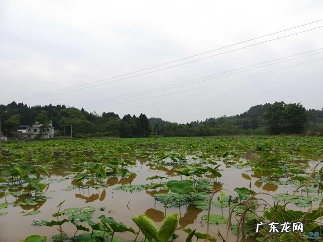 双狮地风水宝地