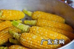 破壁机做玉米汁