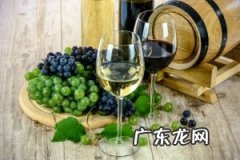 识别葡萄酒的利害