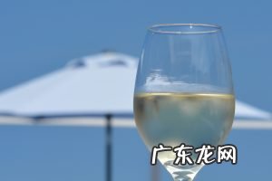 海马酒的制作