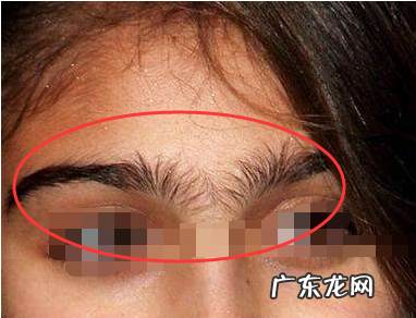 女人额头富贵坑 女人额头低的人命运