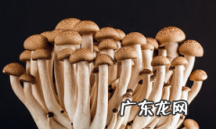 清爽美味的花甲粉丝汤