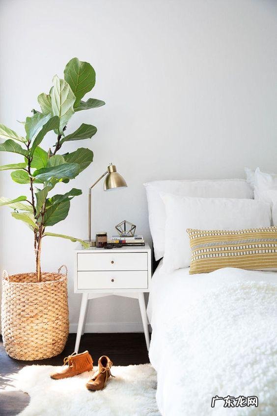 花盆圆的好还是方的好 风水花盆圆的好还是方的好呢