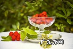 自酿野生杨梅酒