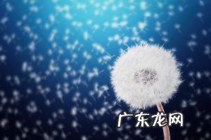 家庭羊肉汤怎么做好喝