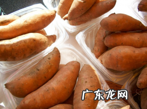 软糯香甜的紫薯粥