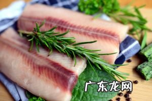 如何煮出白色的鱼汤