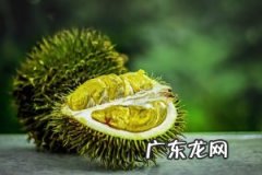 用榴莲肉煲汤