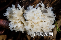 山药大枣银耳汤