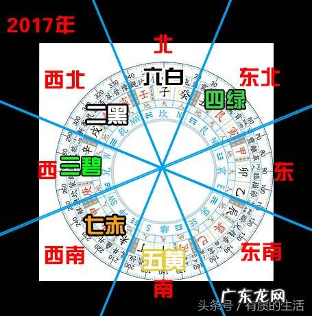 红色花盆风水禁忌 红色玫瑰花地垫风水好