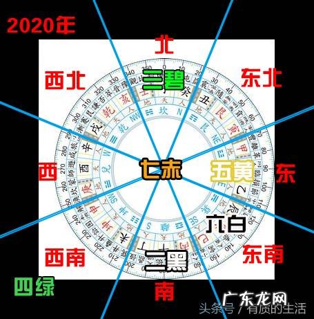 红色花盆风水禁忌 红色玫瑰花地垫风水好