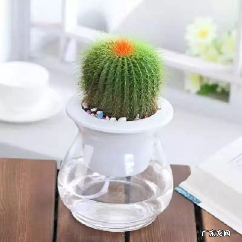 风水不在家放架子可以吗