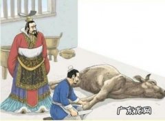 反映技艺高超的成语有哪些 反映技术高超的成语有