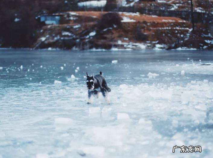 面部风水学讲解 面部风水学解说
