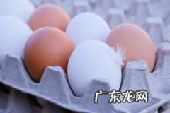 牛奶炖蛋做法