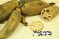 猪蹄莲藕汤的功效