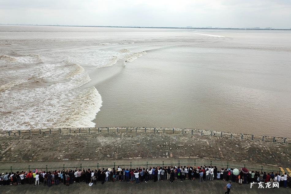 浙江钱塘江观潮 杭州钱塘江观潮地点