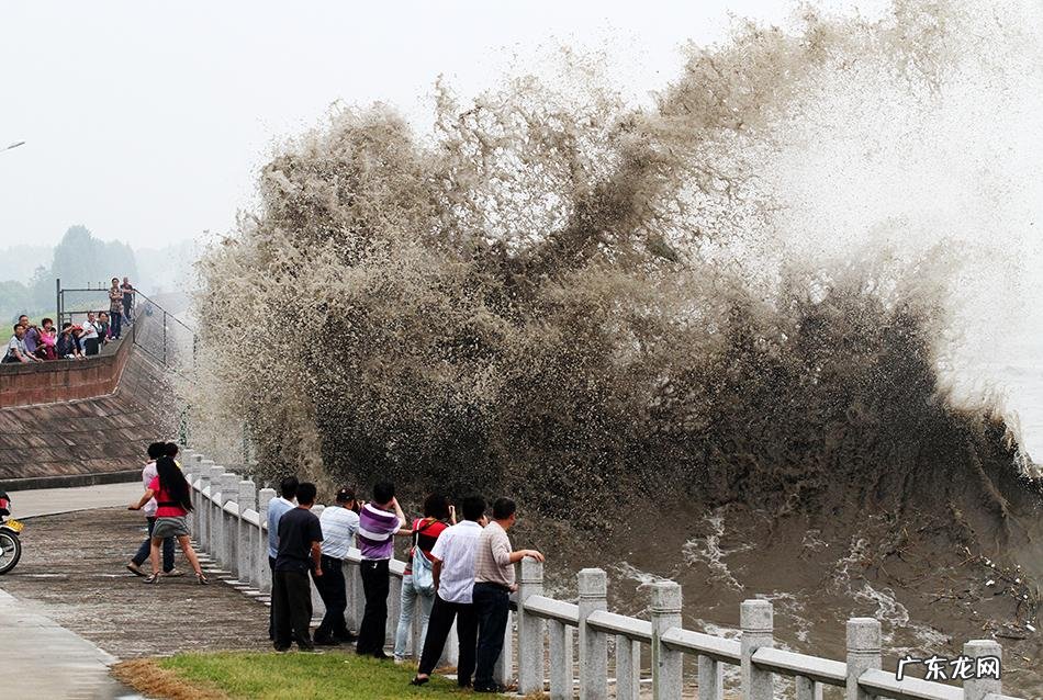 浙江钱塘江观潮 杭州钱塘江观潮地点