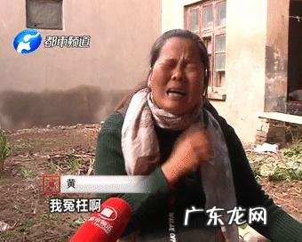 河南省全国学籍管理系统 河南学籍管理系统官