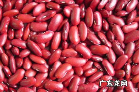 红芸豆不适合什么人吃 吃红芸豆的副作用