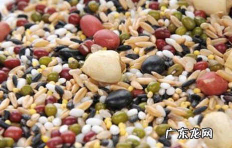 十谷米怎么煮米饭 十谷米怎么煮好吃