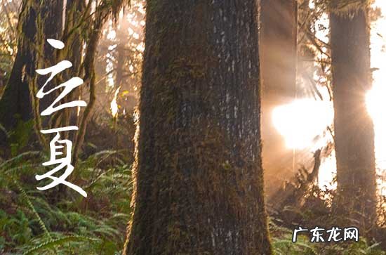 2023年立夏是几月几号 2023年什么时候立夏