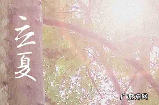 关于立夏的古诗文 关于立夏诗句的盘点