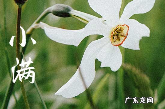 小满节气给客户发的信息 小满节气给顾客发的养生短信