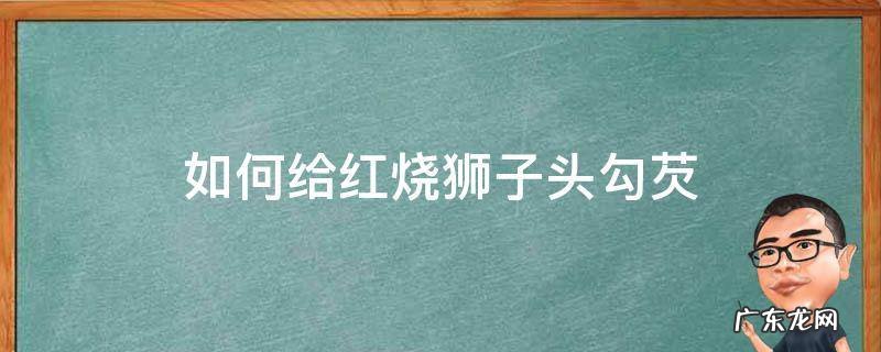 如何给红烧狮子头勾芡