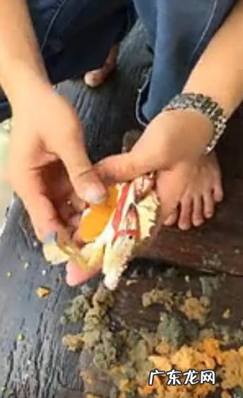 随意放生可能破坏生态 螃蟹上餐桌前成功解绳男子守诺放生